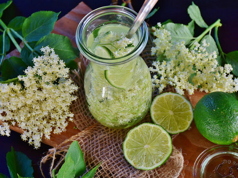 sirup od bazge
