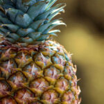 ananas